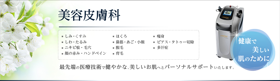 美容皮膚科。しみ・くす、しわ・たるみ、ニキビ痕・毛穴、顔の赤み・ハンドベイン、ほくろ、鼻筋・あご・小顔、脱毛、育毛、痩身、ピアス・タトゥー切除、多汗症。最先端の医療技術で健やかな、美しいお肌へとパーソナルサポートいたします。