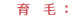 育毛